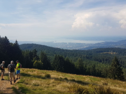 Wanderung Weissenfluh