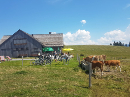 Wanderung Weissenfluh